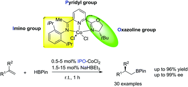 Graphical abstract: Asymmetric cobalt catalysts for hydroboration of 1,1-disubstituted alkenes