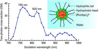 Graphical abstract: Easily prepared ruthenium-complex nanomicelle probes for two-photon quantitative imaging of oxygen in aqueous media