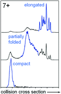 Graphical abstract: Microheterogeneity within conformational states of ubiquitin revealed by high resolution trapped ion mobility spectrometry