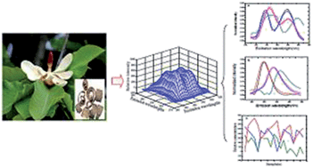 Graphical abstract: Multi-way calibration coupling with fluorescence spectroscopy to determine magnolol and honokiol in herb and plasma samples