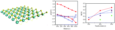 Graphical abstract: Tuning the hydrogen evolution activity of MS2 (M = Mo or Nb) monolayers by strain engineering