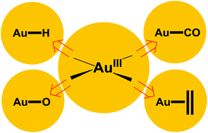 Graphical abstract: An element through the looking glass: exploring the Au–C, Au–H and Au–O energy landscape