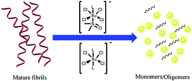 Graphical abstract: Inhibitory effects of NAMI-A-like ruthenium complexes on prion neuropeptide fibril formation