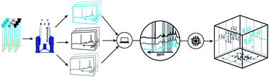 Graphical abstract: NMR-based metabolomics strategies: plants, animals and humans