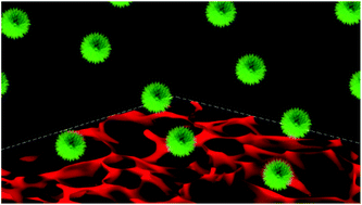 Graphical abstract: Interactions between circulating nanoengineered polymer particles and extracellular matrix components in vitro