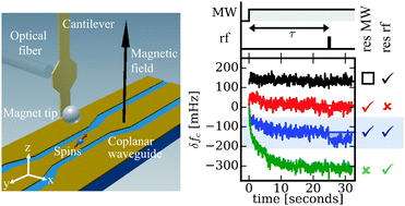 Graphical abstract: Dynamic nuclear polarization in a magnetic resonance force microscope experiment