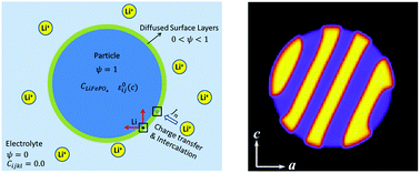Graphical abstract: Anisotropic Li intercalation in a LixFePO4 nano-particle: a spectral smoothed boundary phase-field model