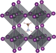 Graphical abstract: Perovskites at the nanoscale: from fundamentals to applications