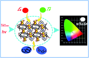 Graphical abstract: White-light emitting materials with tunable luminescence based on steady Eu(iii) doping of Tb(iii) metal–organic frameworks