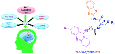 Graphical abstract: Tacrine-allyl/propargylcysteine–benzothiazole trihybrids as potential anti-Alzheimer's drug candidates