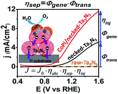 Graphical abstract: Insight into the charge transfer in particulate Ta3N5 photoanode with high photoelectrochemical performance