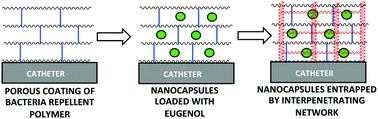 Graphical abstract: Fortified interpenetrating polymers – bacteria resistant coatings for medical devices