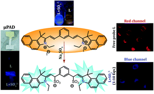 Graphical abstract: A ratiometric fluorogenic probe for the real-time detection of SO32− in aqueous medium: application in a cellulose paper based device and potential to sense SO32− in mitochondria