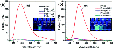 Graphical abstract: A tri-site fluorescent probe for simultaneous sensing of hydrogen sulfide and glutathione and its bioimaging applications