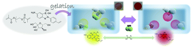 Graphical abstract: Selective adsorption of carbohydrates and glycoproteins via molecularly imprinted hydrogels: application to visible detection by a boronic acid monomer