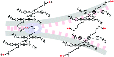 Graphical abstract: Zipping and unzipping monolayers: switchable monolayer oligomerization and adhesion via thiol–disulfide interconversion