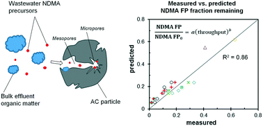 Graphical abstract: Evaluating and modeling the activated carbon adsorption of wastewater-derived N-nitrosodimethylamine precursors