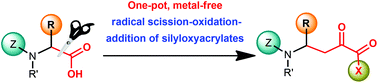 Graphical abstract: Metal-free, direct conversion of α-amino acids into α-keto γ-amino esters for the synthesis of α,γ-peptides
