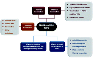 Graphical abstract: Progress in polydimethylsiloxane-modified waterborne polyurethanes