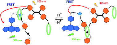 Graphical abstract: Highly efficient FRET from aggregation-induced emission to BODIPY emission based on host–guest interaction for mimicking the light-harvesting system