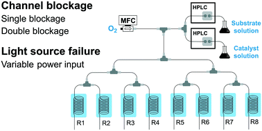 Graphical abstract: A sensitivity analysis of a numbered-up photomicroreactor system