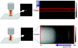 Graphical abstract: Non-invasive analysis of stored red blood cells using diffuse resonance Raman spectroscopy