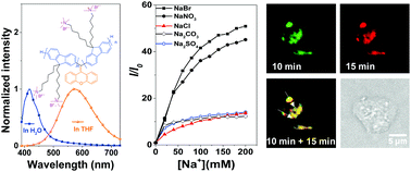 Graphical abstract: Geminal cross-coupling synthesis, ion-induced emission and lysosome imaging of cationic tetraarylethene oligoelectrolytes