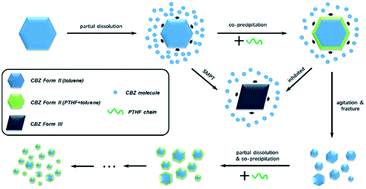 Graphical abstract: Solvent-polymer guest exchange in a carbamazepine inclusion complex: structure, kinetics and implication for guest selection