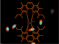 Graphical abstract: A long-lived cuprous bis-phenanthroline complex for the photodynamic therapy of cancer