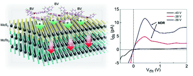 Graphical abstract: Parameter control for enhanced peak-to-valley current ratio in a MoS2/MoTe2 van der Waals heterostructure