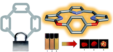 Graphical abstract: The design of rigid cyclic tripyrrins: the importance of intermolecular interactions on aggregation and luminescence