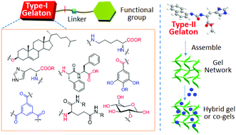 Graphical abstract: Supramolecular gelatons: towards the design of molecular gels