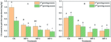 Graphical abstract: Reduction of Cd accumulation in pak choi (Brassica chinensis L.) in consecutive growing seasons using mercapto-grafted palygorskite