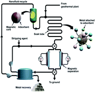 Graphical abstract: Extraction of rare earth elements using magnetite@MOF composites