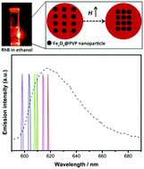 Graphical abstract: Tunable amplified spontaneous emission based on liquid magnetically responsive photonic crystals