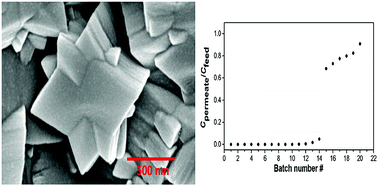 Graphical abstract: MIL-53(Al) and NH2-MIL-53(Al) modified α-alumina membranes for efficient adsorption of dyes from organic solvents