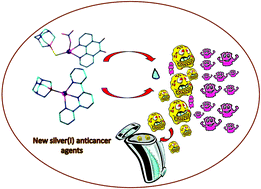 Graphical abstract: Light-stable polypyridine silver(i) complexes of 1,3,5-triaza-7-phosphaadamantane (PTA) and 1,3,5-triaza-7-phosphaadamantane-7-sulfide (PTA [[double bond, length as m-dash]] S): significant antiproliferative activity of representative examples in aqueous media