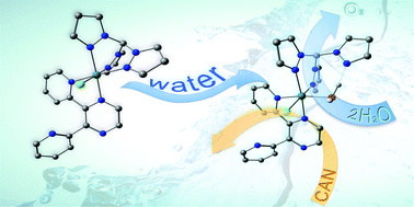 Graphical abstract: Ru(ii) water oxidation catalysts with 2,3-bis(2-pyridyl)pyrazine and tris(pyrazolyl)methane ligands: assembly of photo-active and catalytically active subunits in a dinuclear structure