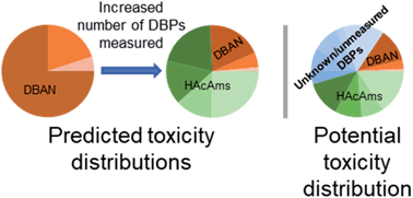 Graphical abstract: Summation of disinfection by-product CHO cell relative toxicity indices: sampling bias, uncertainty, and a path forward