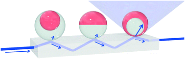 Graphical abstract: Waveguide-based chemo- and biosensors: complex emulsions for the detection of caffeine and proteins