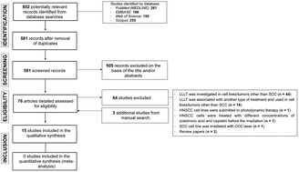 Graphical abstract: Examining tumor modulating effects of photobiomodulation therapy on head and neck squamous cell carcinomas