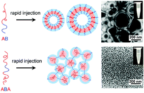 Graphical abstract: Influence of block sequence on the colloidal self-assembly of poly(norbornene)-block-poly(ethylene oxide) amphiphilic block polymers using rapid injection processing