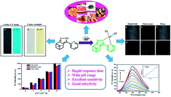 Graphical abstract: A highly sensitive and selective fluorescent probe for quantitative detection of Al3+ in food, water, and living cells