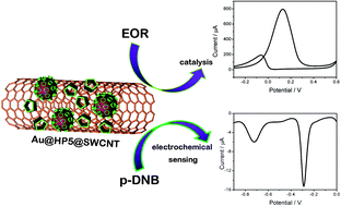 Graphical abstract: Control loading Au nanoparticles on the surface of hydroxyl pillar[5]arene functionalized single-walled carbon nanotubes and its application in catalysis and sensing