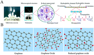 Graphical abstract: The assembly of silk fibroin and graphene-based nanomaterials with enhanced mechanical/conductive properties and their biomedical applications