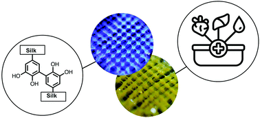 Graphical abstract: Silk fibroin photo-lyogels containing microchannels as a biomaterial platform for in situ tissue engineering