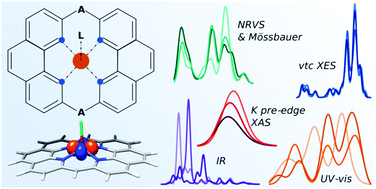 Graphical abstract: Spectroscopic discernibility of dopants and axial ligands in pyridinic FeN4 environments relevant to single-atom catalysts