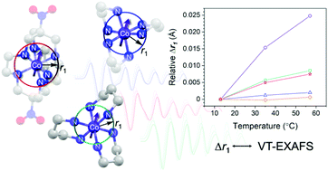 Graphical abstract: EXAFS investigations of temperature-dependent structure in cobalt-59 molecular NMR thermometers