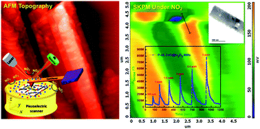 Graphical abstract: Boosting the performance of NO2 gas sensors based on n–n type mesoporous ZnO@In2O3 heterojunction nanowires: in situ conducting probe atomic force microscopic elucidation of room temperature local electron transport