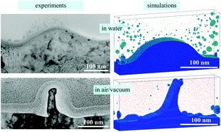 Graphical abstract: Effect of a liquid environment on single-pulse generation of laser induced periodic surface structures and nanoparticles